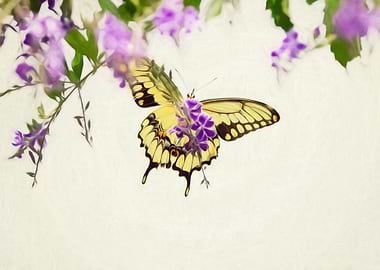 Painterly Butterfly