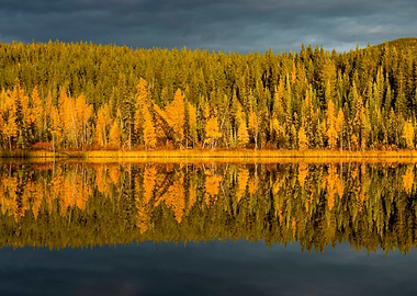Autumn Reflections
