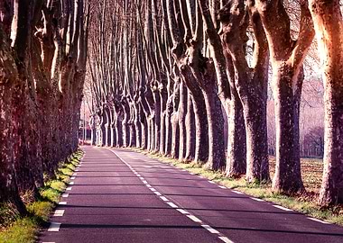 Just me and the road