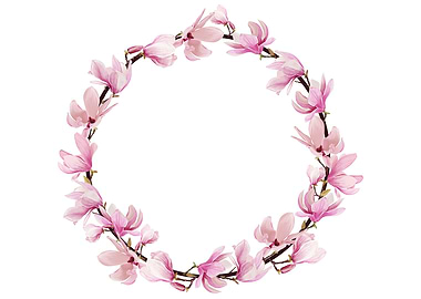 magnolia flowers frame