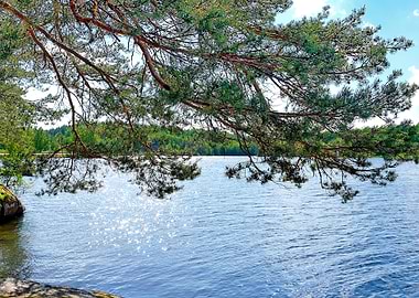 Swedish landscape part two