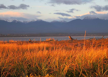 Olympic Mountains in Fall