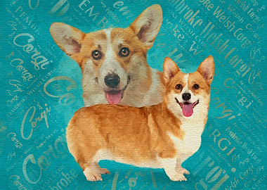 Welsh Corgi
