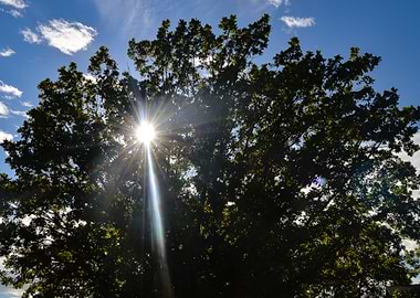 Blessings are Everywhere