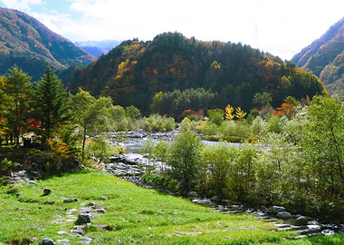 Gifu nature
