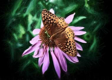 Brown butterfly