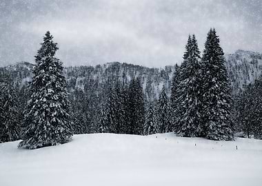 Bavarian Winters Tale IV