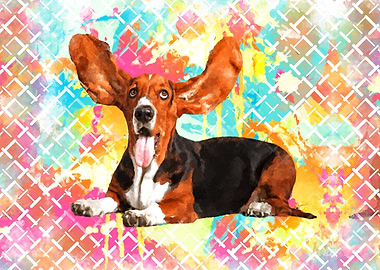 Basset Hound