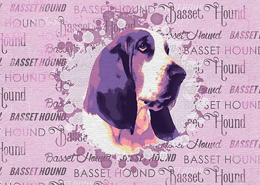 Basset Hound