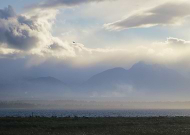 Tempestuous Olympics