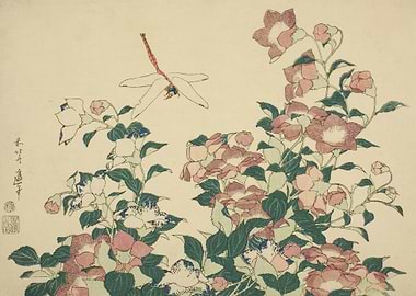 BellFlower and Dragonfly