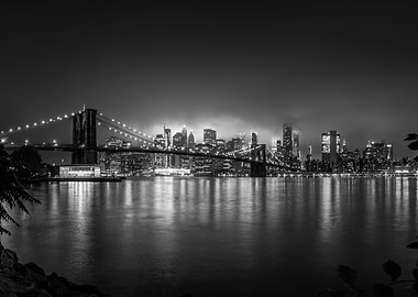 Bright Lights of New York