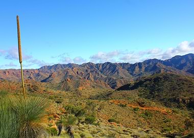 Arkaroola Ridge Top