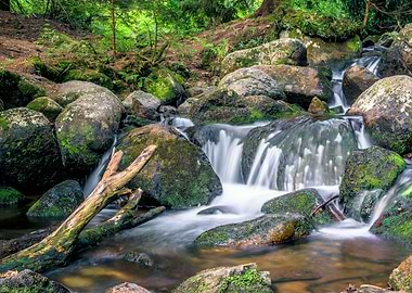 Waterfall Forest River Hot