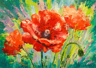 Poppies