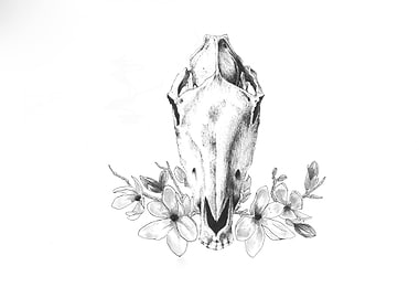 HorseSkullFlowers