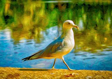 Seagull with Reflections