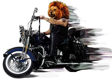 Born to be wild