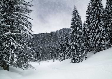 Bavarian Winters Tale VI