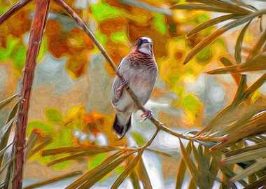 Tropical Bird in a Tree