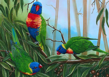 Lorikeets trio painting