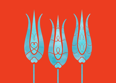 Ethnic Turkish Tulips