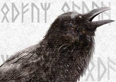 Raven