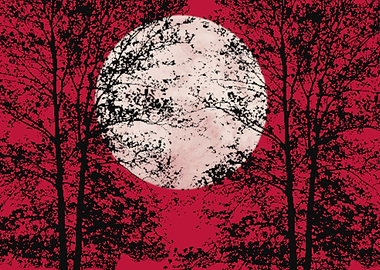 Big Moon with red sky