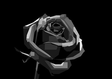 Roses BW