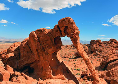 Elephant Rock Nevada