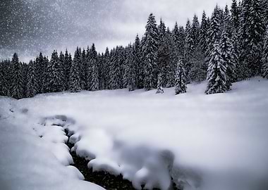 Bavarian Winters Tale VII