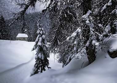 Bavarian Winters Tale XI