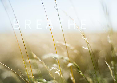 Breathe