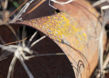 Where We Leave a Mark