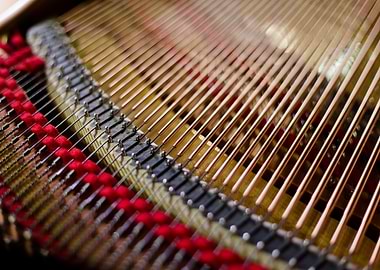 Details inside Grand Piano
