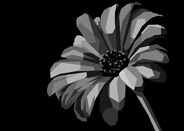 Daisy Flower BW