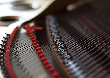 Details inside Grand Piano