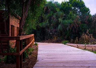 Boardwalk to the beach