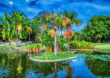 Tropical park landscape