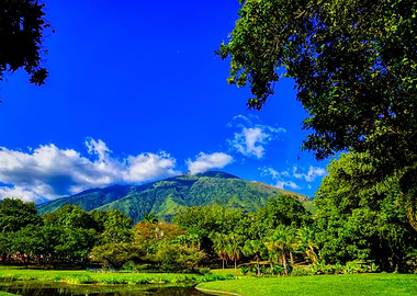 Tropical park landscape
