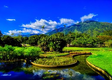 Tropical park landscape