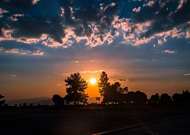 Sunset between trees