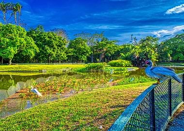 Tropical park landscape