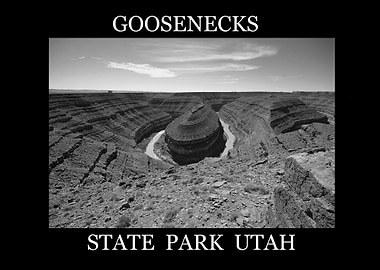 Goosenecks State Park Utah