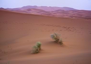 Sand mountains in Sahara