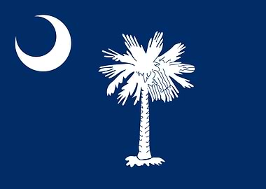 South Carolina Flag