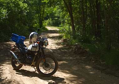 Motorcycle in the Woods