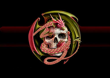 Skull D Dragon
