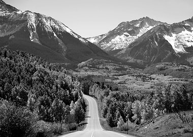 The road less traveled