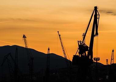 Cranes on the Sunset